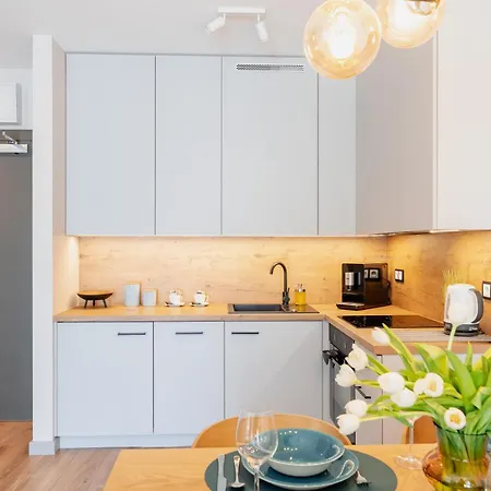 Mint Mohito A019 Z Parkingiem W Cenie - 코워브제크